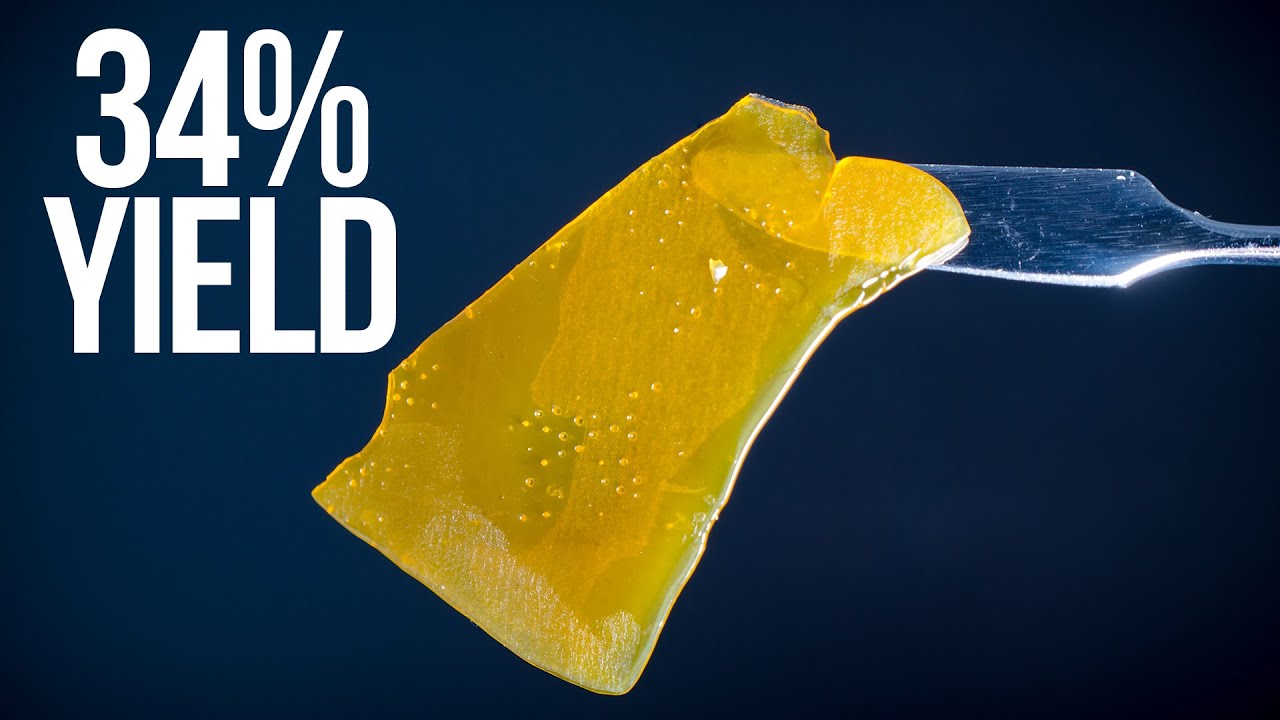 HUGE YIELD ROSIN PRESS!! 34% YIELD CANNABIS CONCENTRATES WEDDING CAKE WEED