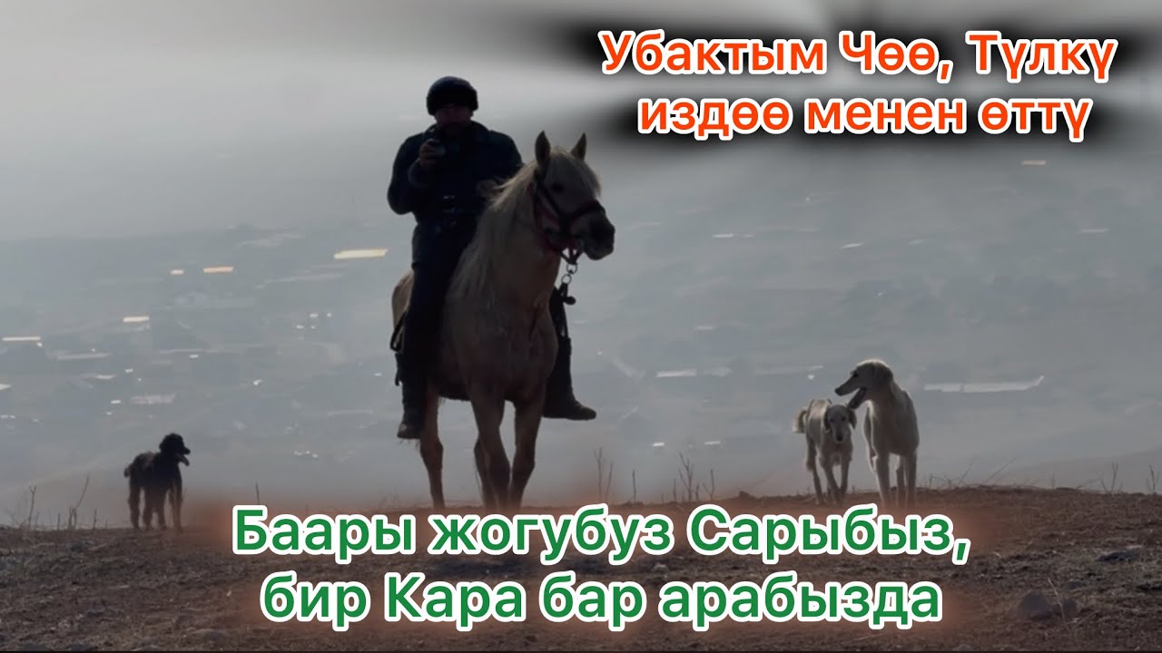 ТОЛЬКО ЧАБАН & САРЫЧАНЫ КӨРӨСҮЗДӨР ЭМИ