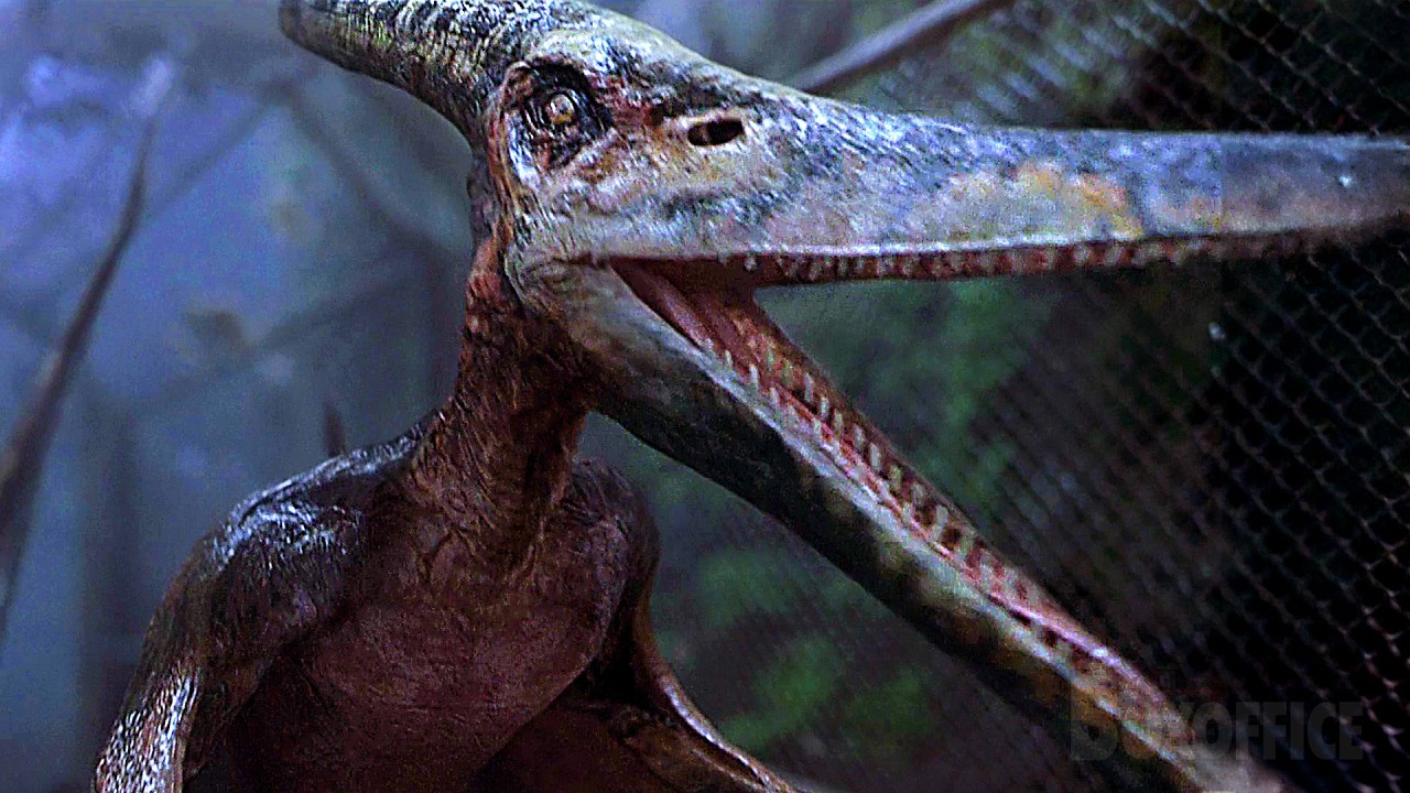 Attenzione: Dinosauri Volanti | Jurassic Park III | Clip in Italiano