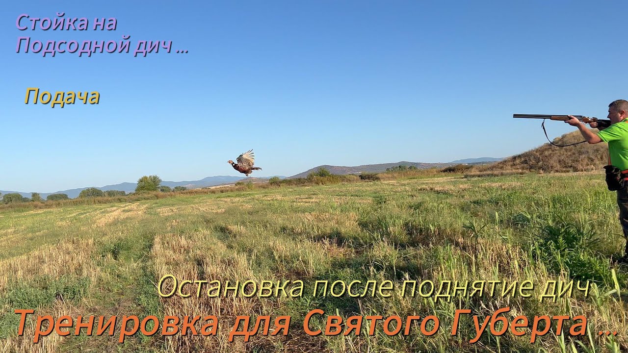 Хари тренировка 2023