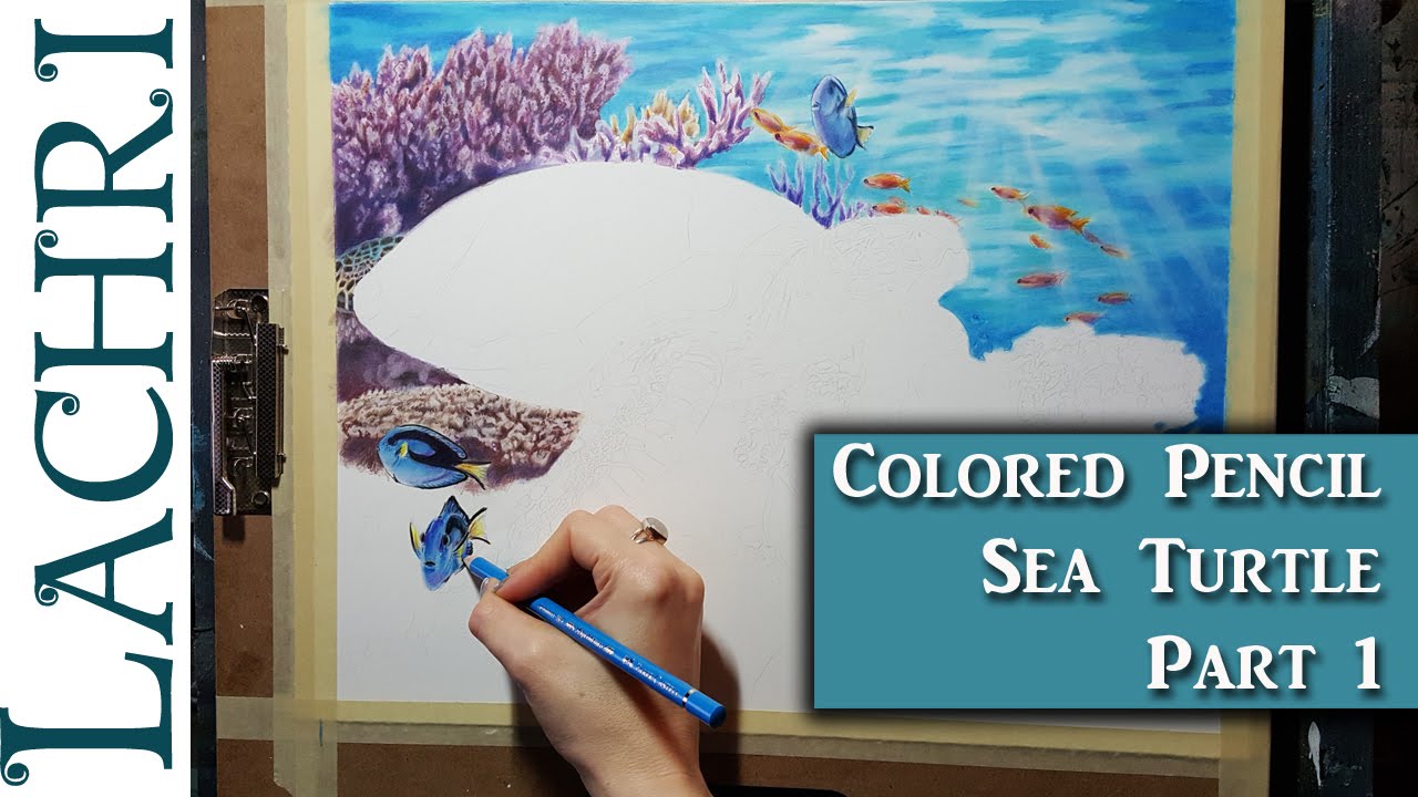 Colored Pencil Sea turtle part 1 - background water and coral w/ lachri