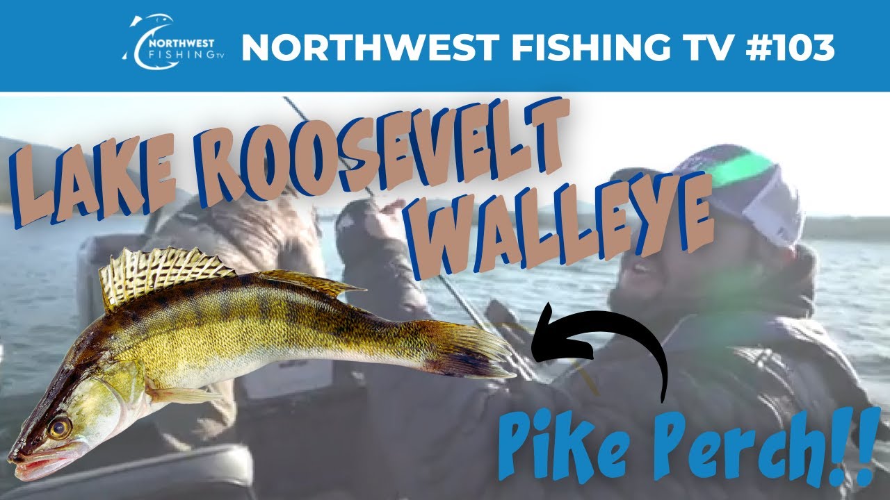 Kettle Falls Walleye Fishing | Northwest Fishing TV #103