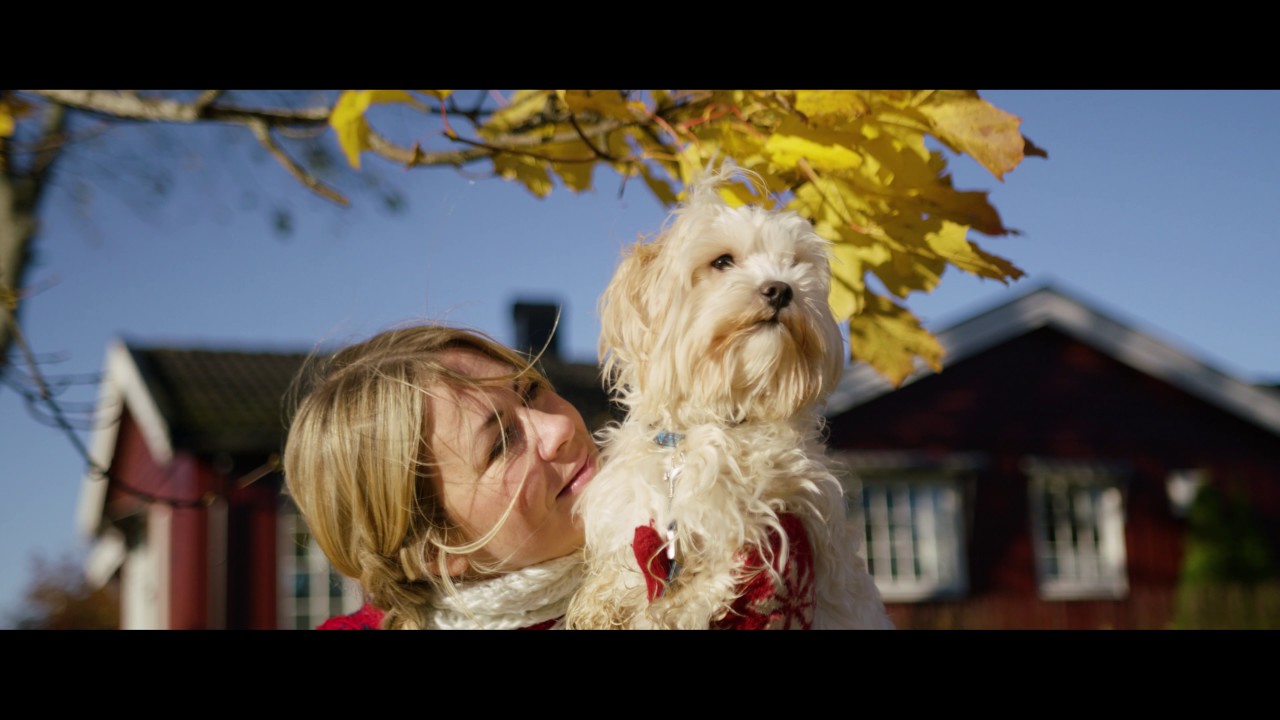 NORWEGIAN FALL RED EPIC-W 8K FOOTAGE-TEST