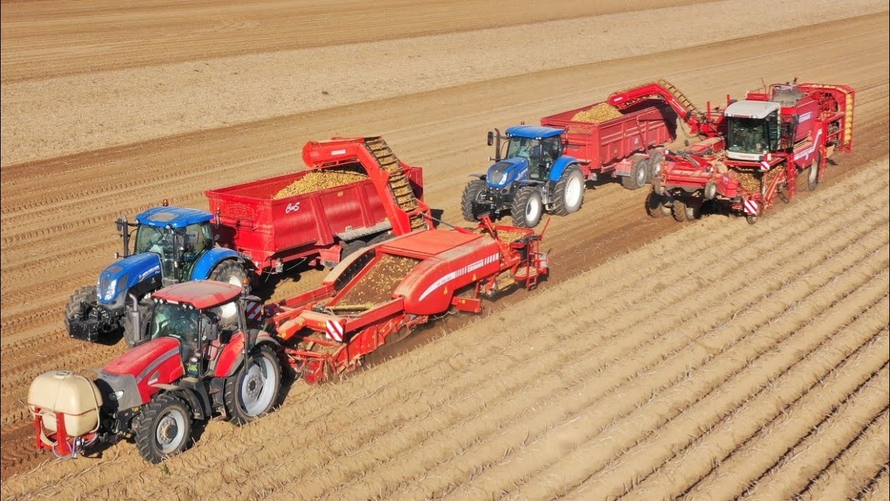 Arrachage de Pomme de Terre 2019 à la Ferme de Mesangeon 🥔