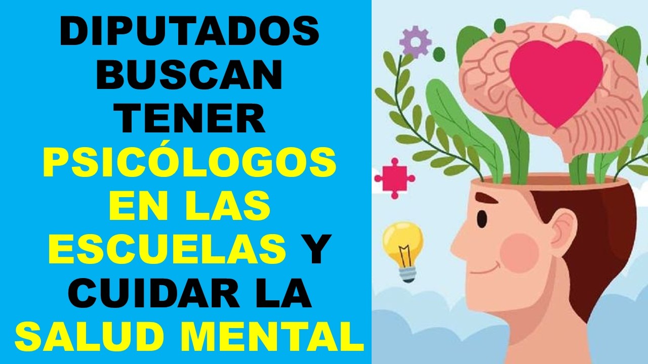 Soy Docente: DIPUTADOS BUSCAN TENER PSICÓLOGOS EN LAS ESCUELAS Y CUIDAR LA SALUD MENTAL