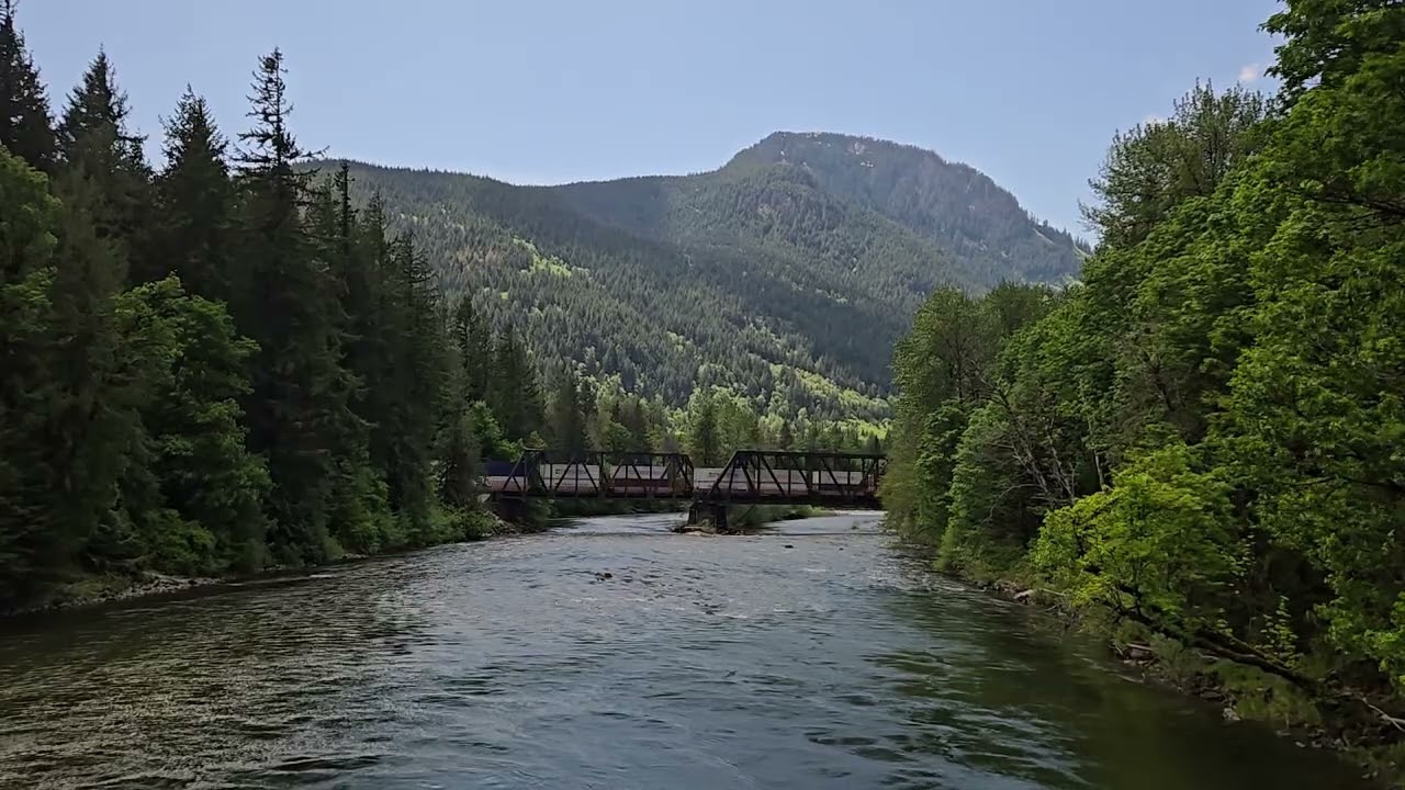 BNSF 8133