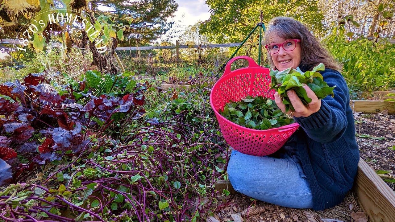 Canning 101 | Spinach and Other Leafy Greens