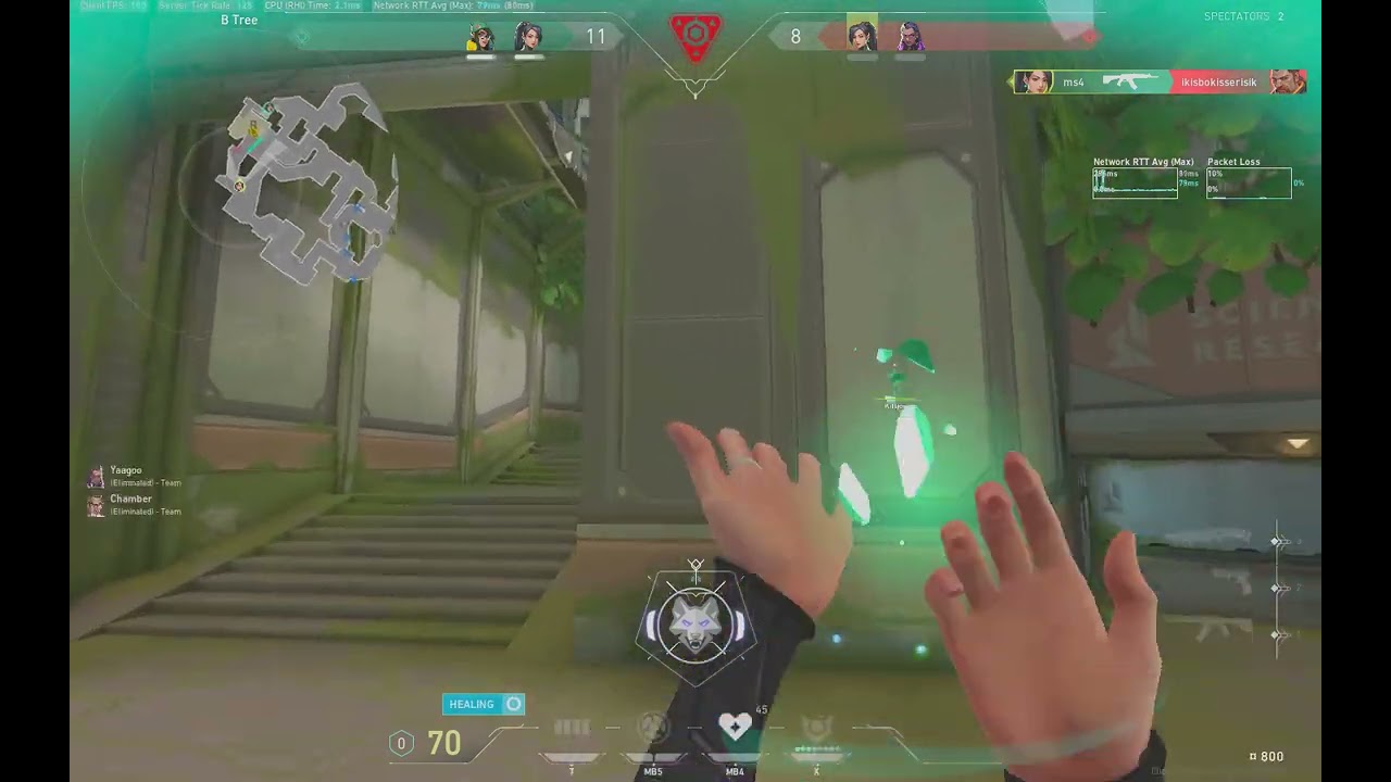 sage clutch