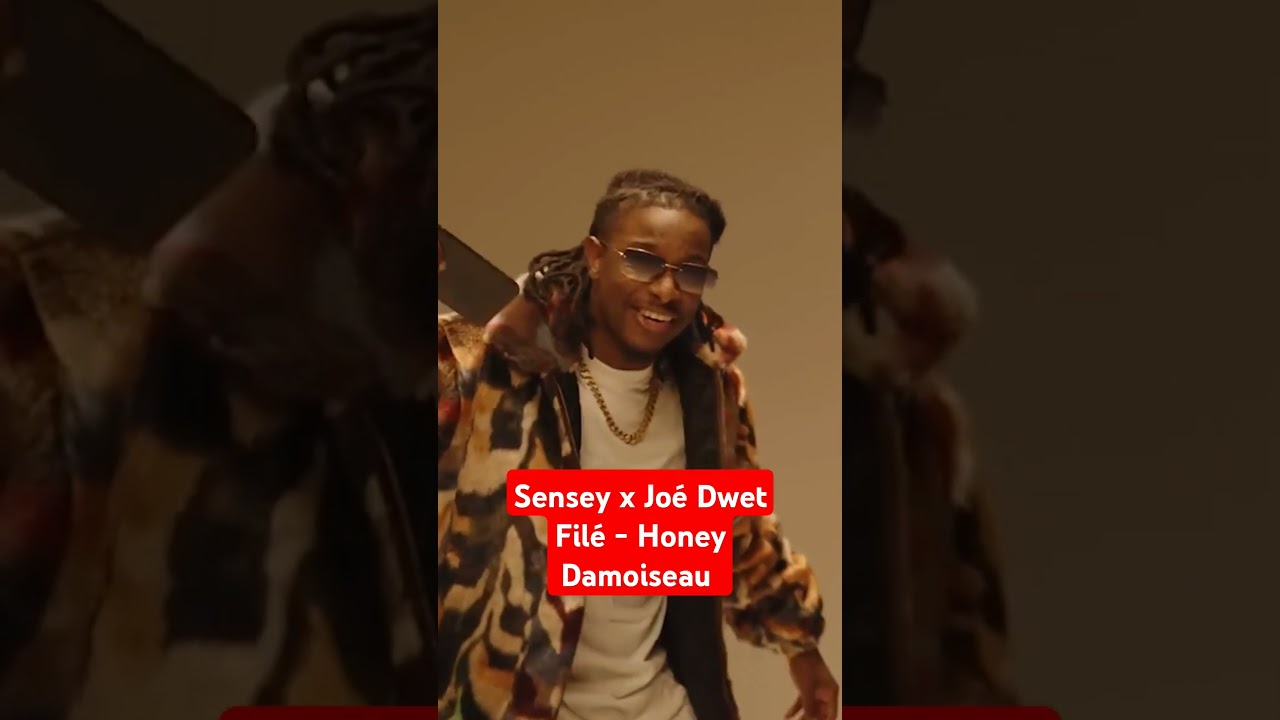 Sensey- Honey Damoiseau avec Joe Dwet Fil&eacute; #france #jo&eacute;dwetfil&eacute;type #sensey #afro #interview