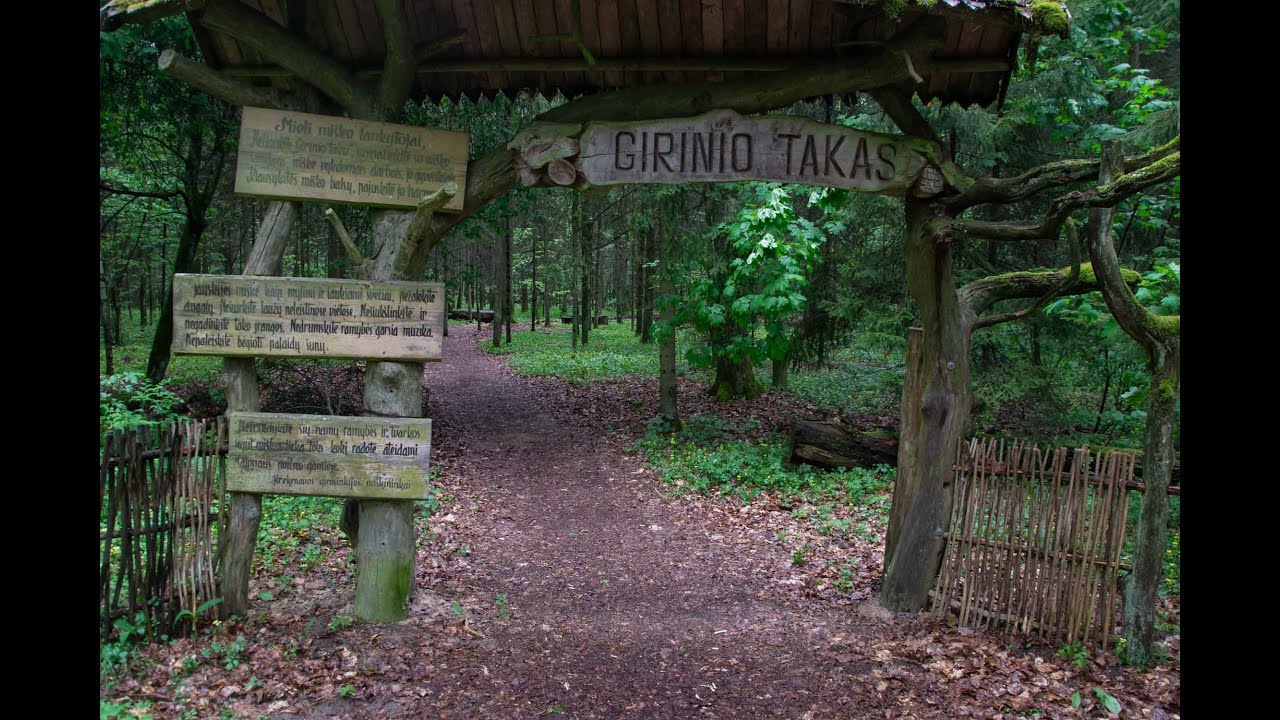Girinio takas