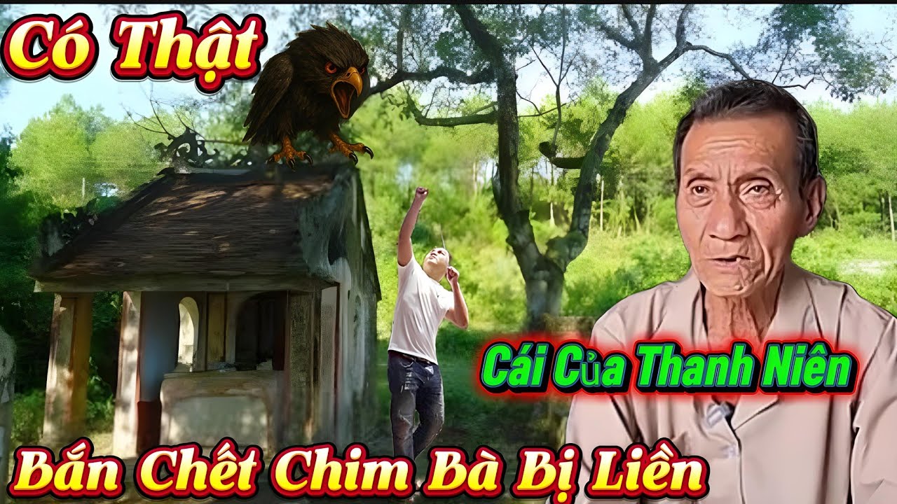 Có Thật Cái Kết Của Thanh Niên Bắn Chết Chim Bà Bị Liền...