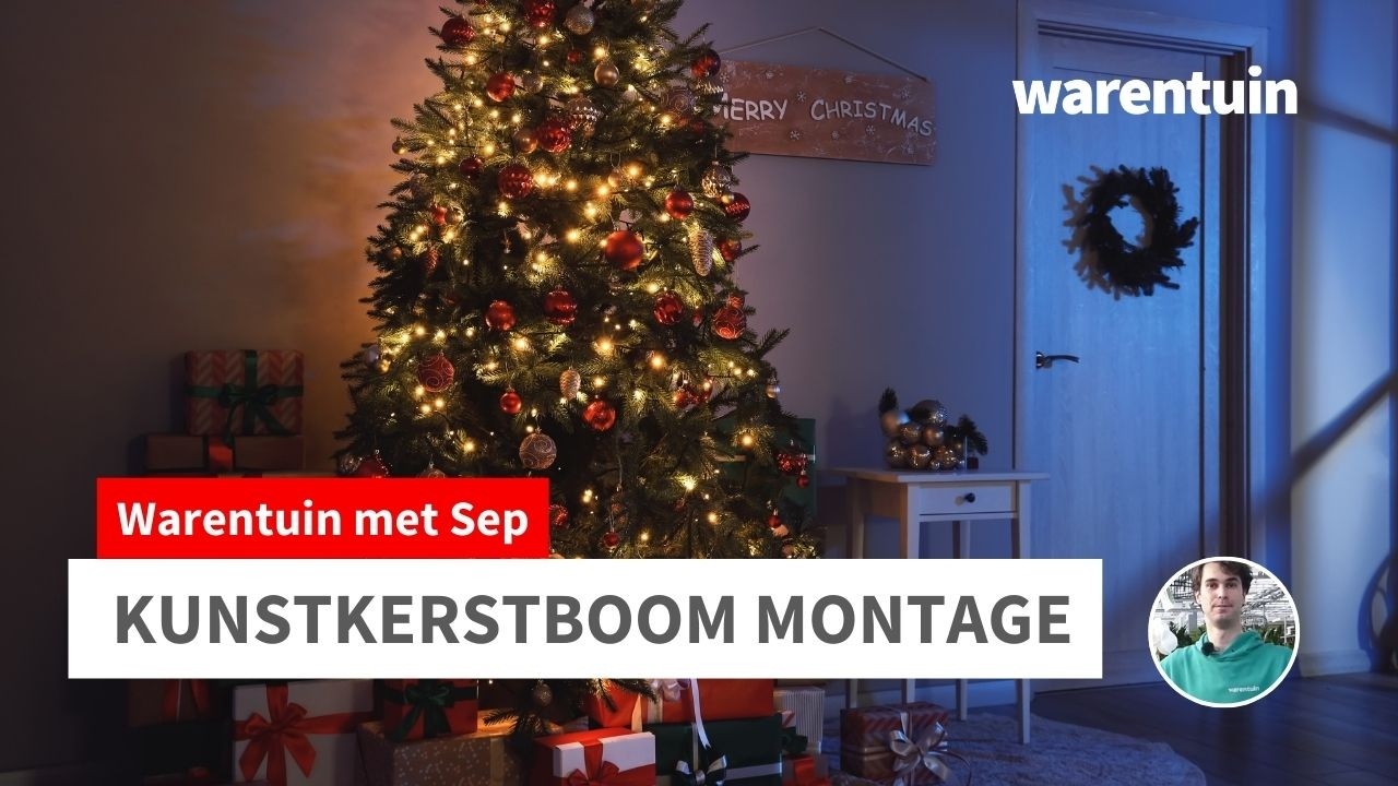 Hoe sluit je een kunstkerstboom met verlichting aan?