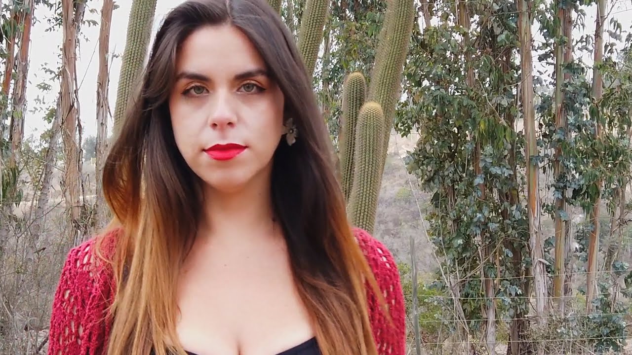 LA TRADICION NORTE&Ntilde;A - TU DELIRIO
