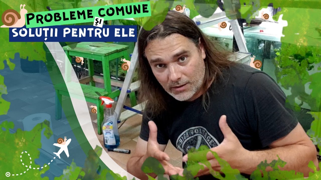 Vlog #14 | Despre melci, alge si plecat in vacanta