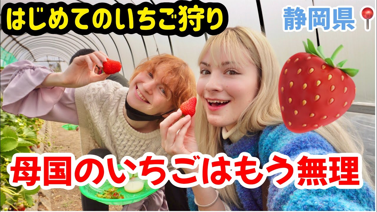 【日本は天国！？】初めてのいちご狩りに感動！