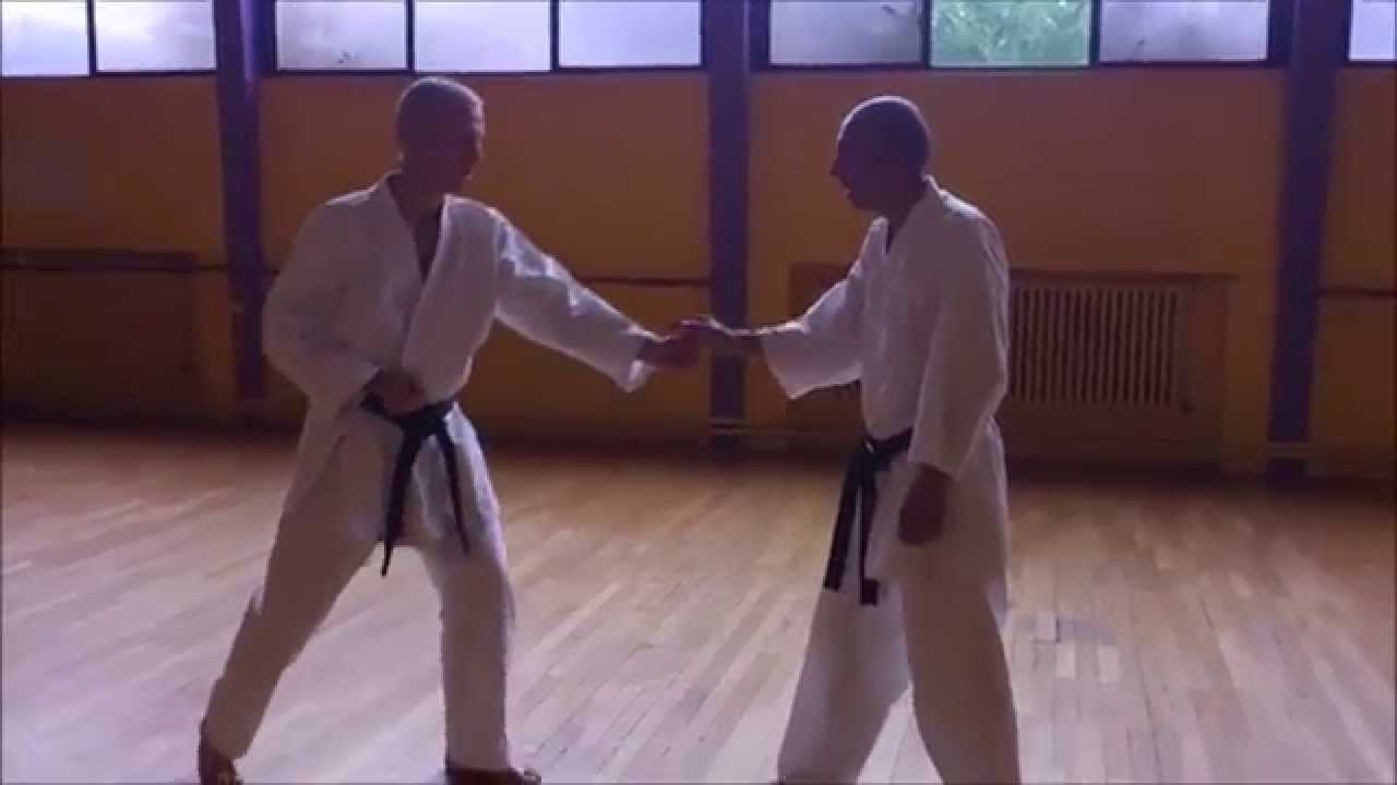 SHOTOKAI KARATE-DO  KISEIKAI / ISKA  Yves AYACHE Sensei