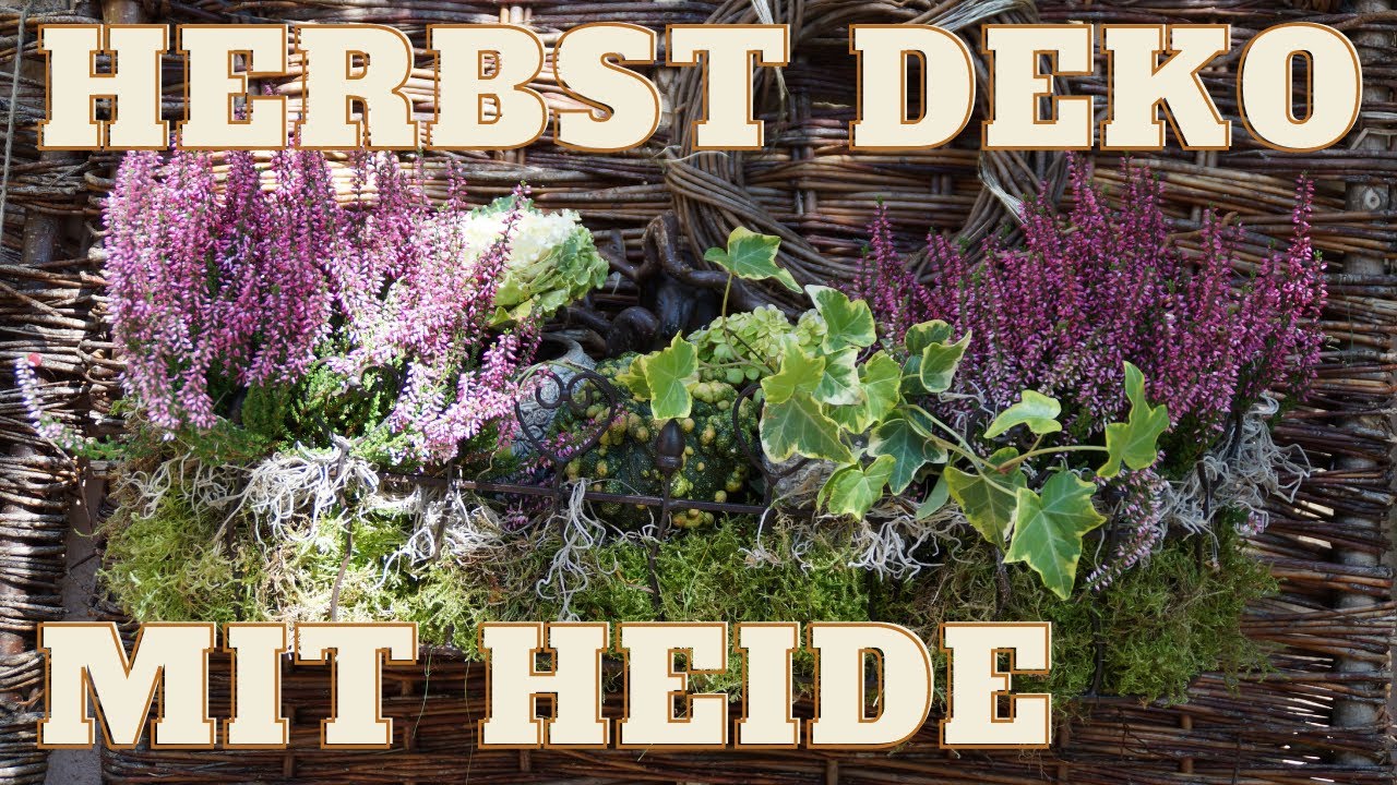 DIY Herbst Bepflanzung mit Moos und Heide | Herbst Deko Idee für Terrasse, Balkon und Garten