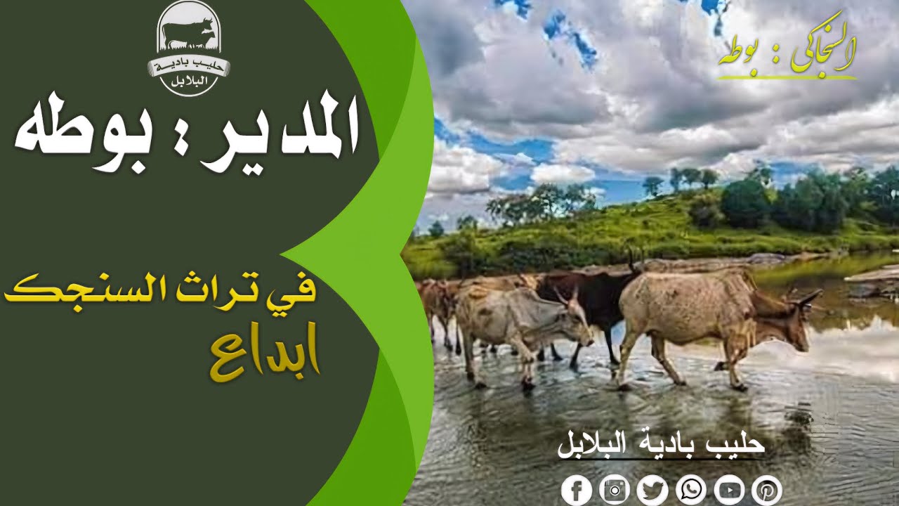 #بوطة_الماجستير تراث سنجك #تراث_البقارة_سنجك ابداع في الغزل #اشترك_في_قناة_حليب_بادية_البلابل
