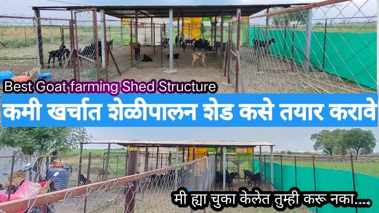 कमी खर्चात शेळीपालन शेड कसे तयार करावे / Goat Farming Shed structure Management / शेड बांधणी नियोजन