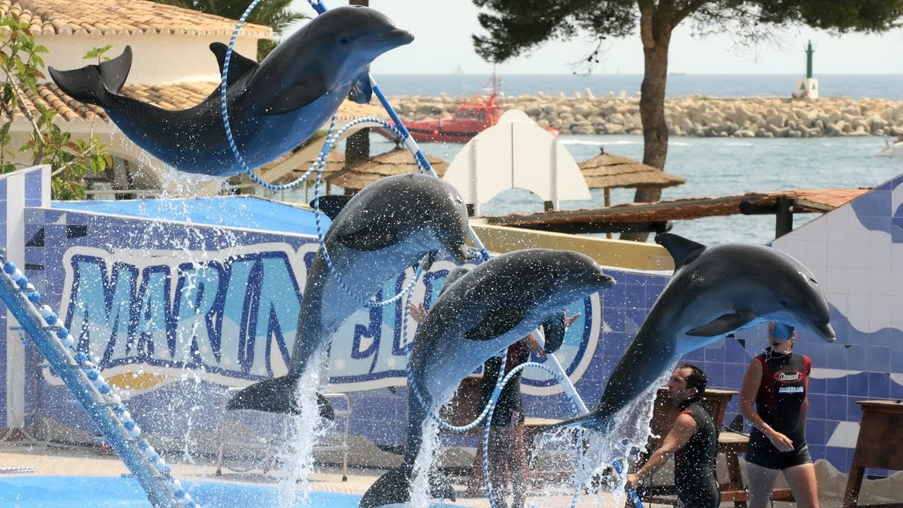 Дельфинарий Marineland Spain Mallorca