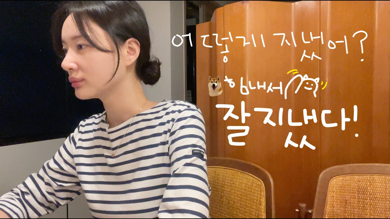 [vlog]어떻게 지냈냐면🍀(근황 토크/회사 복직?새로운 일?/다시 돌아온 일상/김밥 해먹기/오징어 회 넘 맛있어!/시바견 택이)