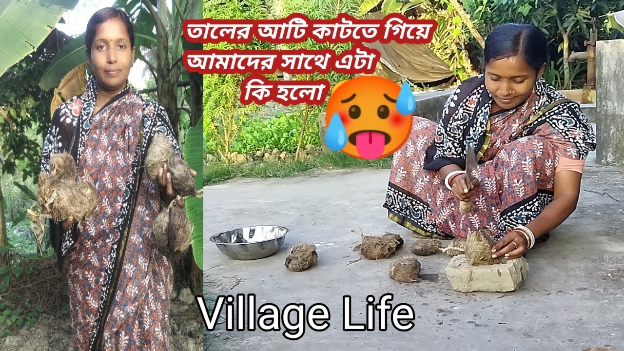 তাল শাঁস খেতে গিয়ে আমাদের এমন হবে ভাবতে পারেনি 😱😱😞Sundarban Ghorkonna 