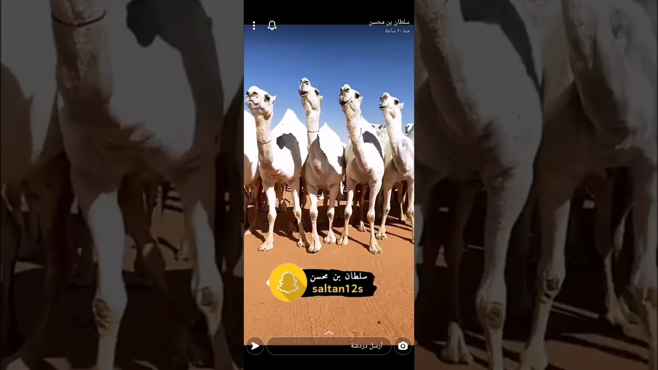 عمير Vs النهدي ؛ جمعنا لكم المنقيتين، اكتب وجهة نظرك #ديربي_الوضح ٢٠٢٢
