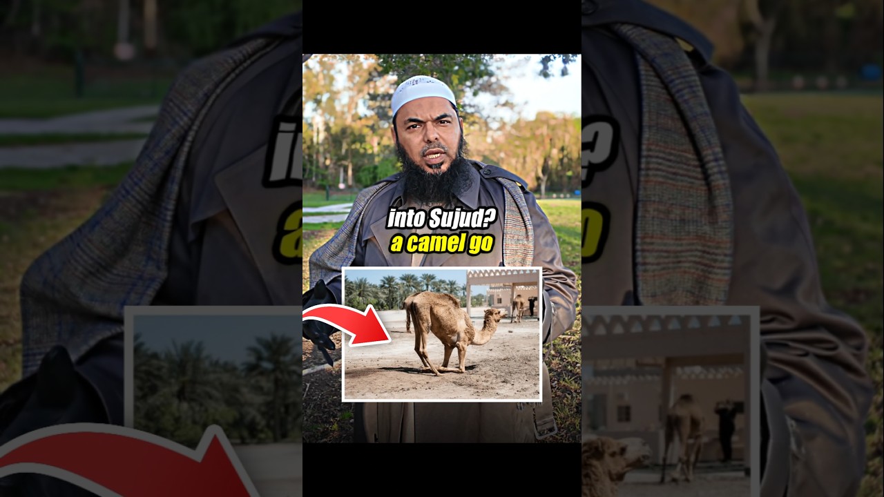🤯🐫❌️