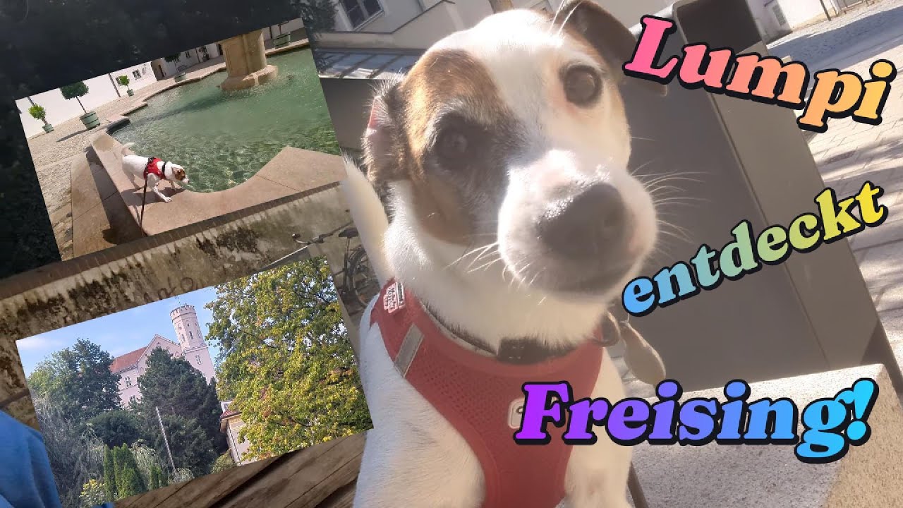 Entdeckungstour durch Freising: Altstadt, Domberg und Isarspaziergang mit Lumpi🐶