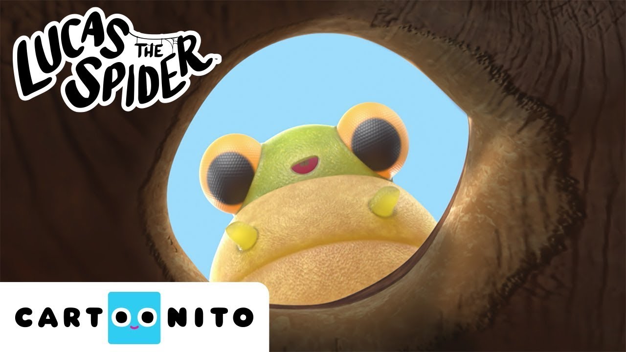 Lucas Is Looking For a New Home for Jump Jump | Lucas the Spider | Cartoons for Kids | @cartoonito