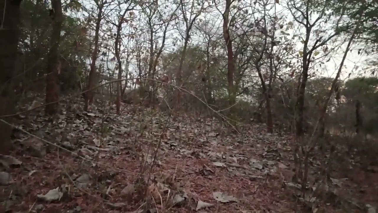 வீடியோ போடும்போது பேய் வந்தது உண்மை உண்மை 