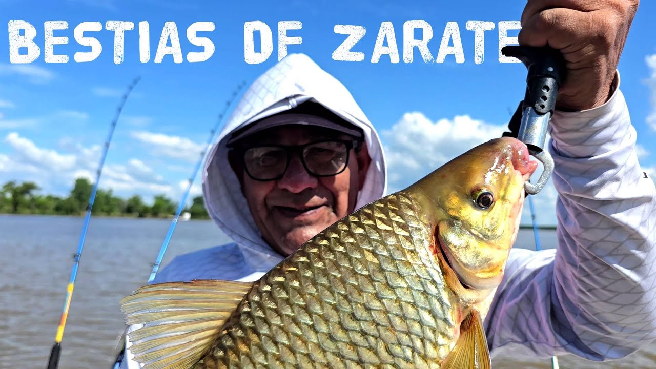 TENES QUE IR URGENTE A PESCAR ESTAS BOGAS/ PESCA EN ZARATE DE GRANDES BOGAS Y TERRIBLES BAGRES
