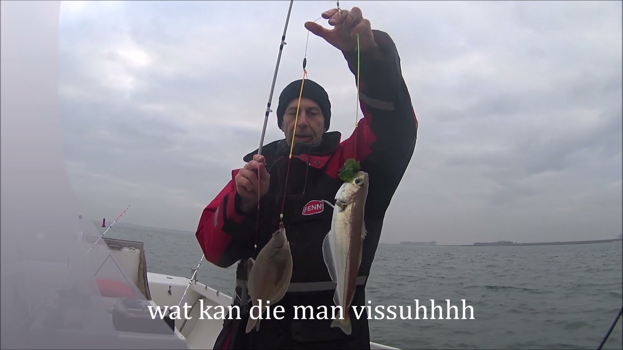 Oosterschelde Massa's vis, van Dixhoorn is top!!