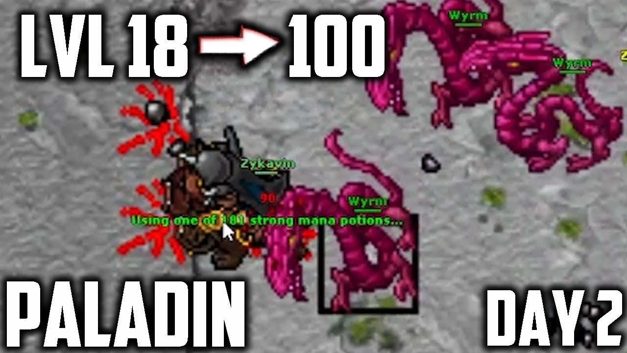 PALADIN: From LVL 18 to 100 in 7 DAYS - Part 2 (Day 2, subtitled)
