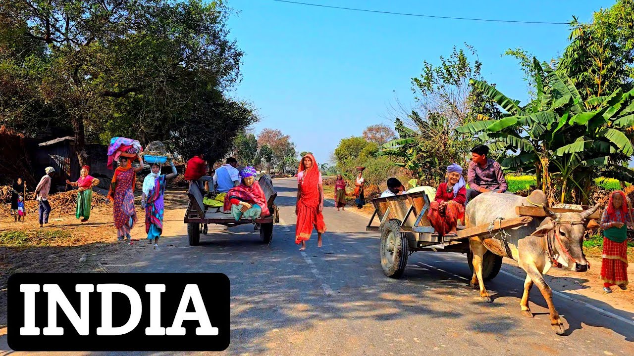 🇮🇳This Is The Everyday Life Of Indian People ] You Will Be Shocked When You See It [ #UttarPradesh