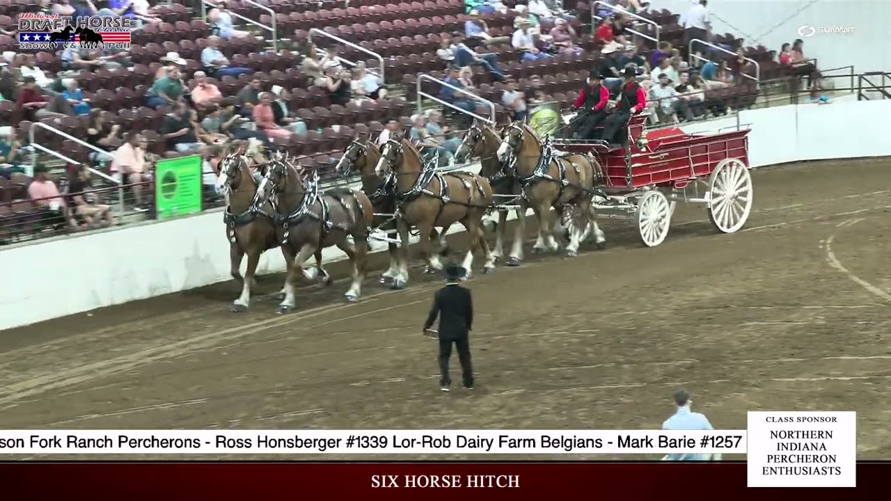 Saturday Six Horse Hitch
