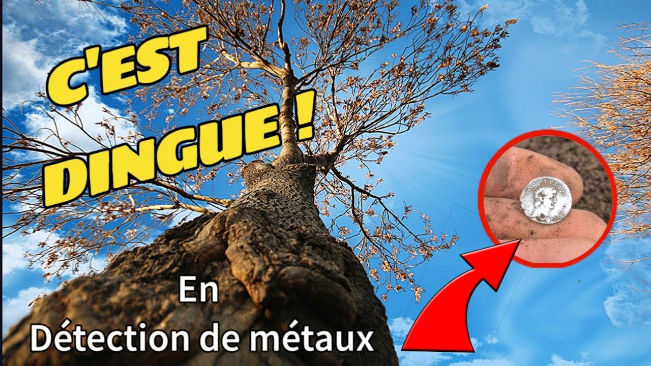 Une fulgurante sortie détection de métaux en forêt pleine de surprises #détection #détecteur #trésor