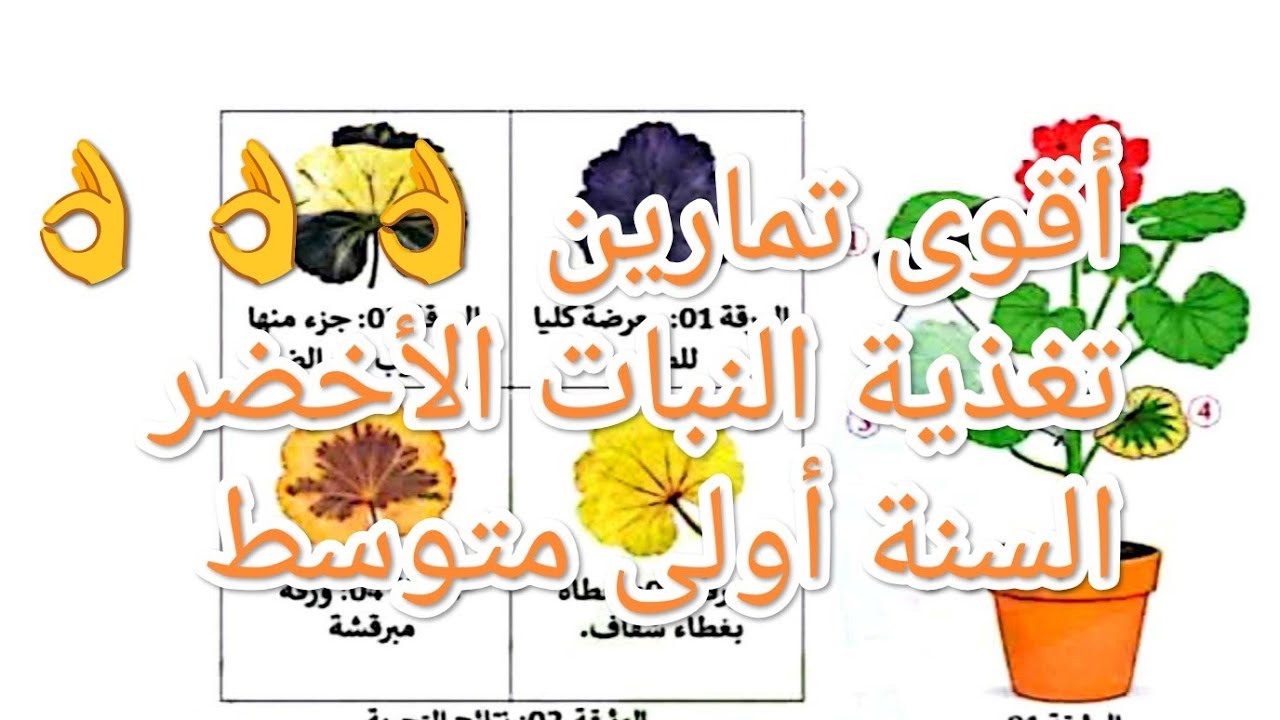 #تمارين مقترحة للفصل الثاني # السنة أولى متوسط # تحضيرا للفرض 👌👌👌،