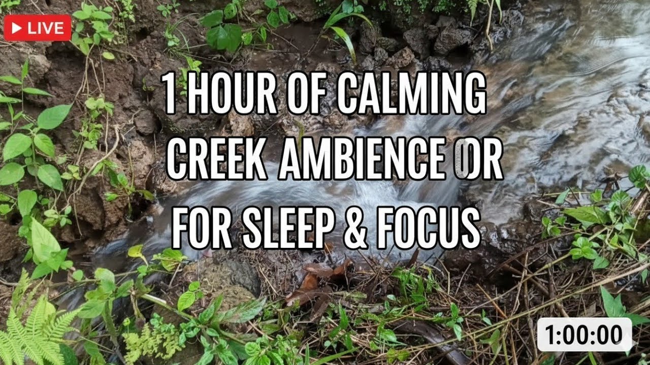 Ultimate Zen: 1 Hour Relaxing River White Noise