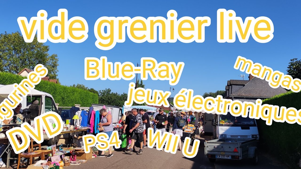 22# vide grenier live du 17/08/2025 enfin du jeu vidéo 
