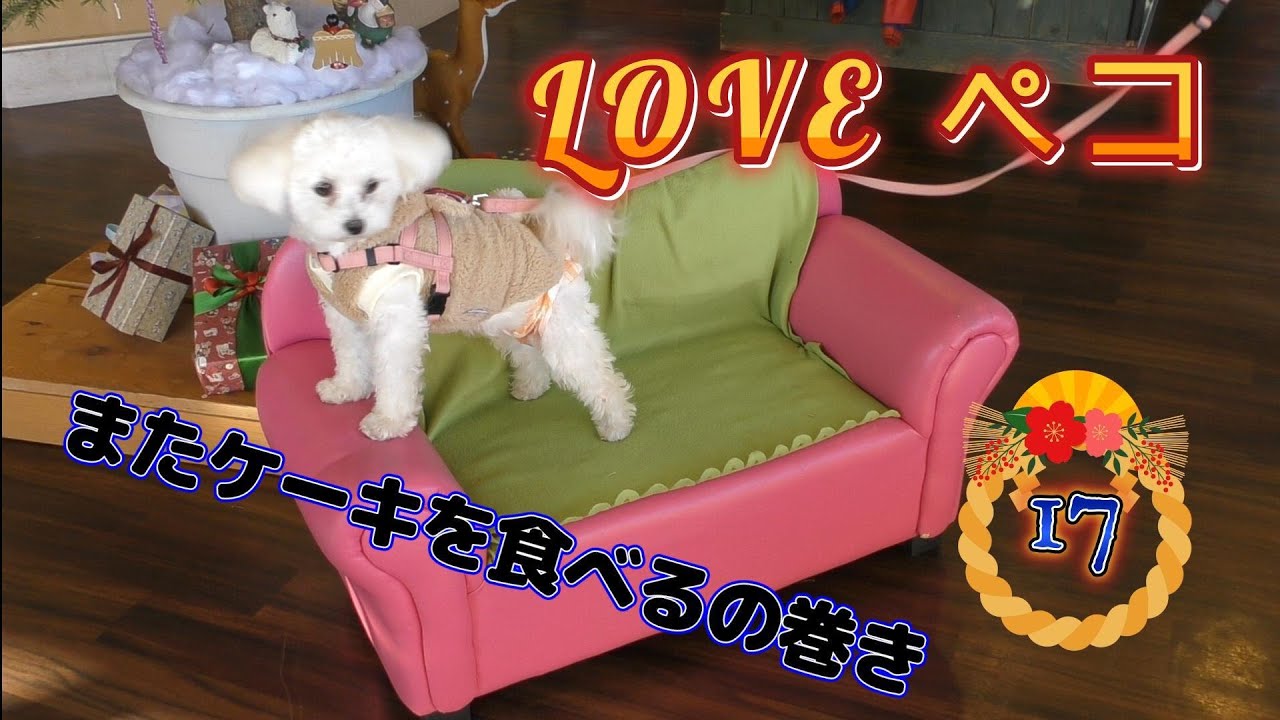 LOVEペコ