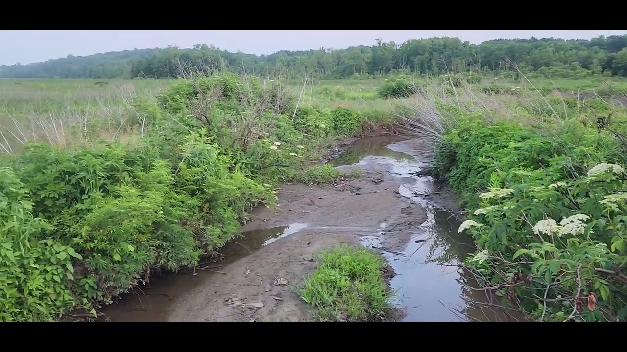 NEABSCO REGIONAL PARK(నీబ్స్కో ప్రాంతీయ ఉద్యానవనం)