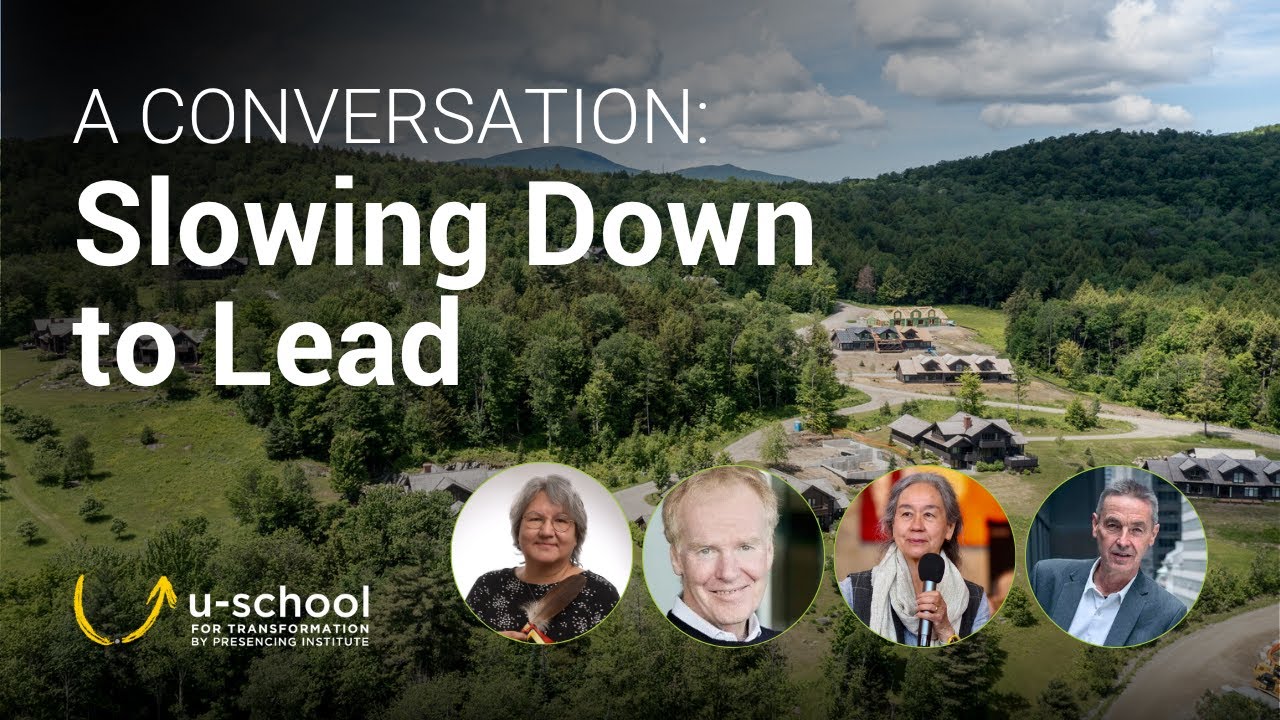 Slowing Down to Lead: A Conversation with the Executive Champions W Workshop Faculty