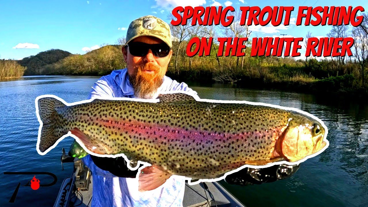 Spring Trout Fishing on the White River