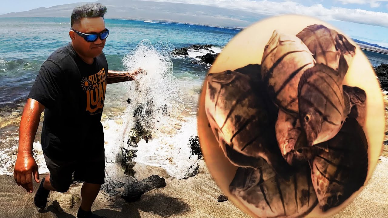 Went Trow Net Fishing With My Cousin