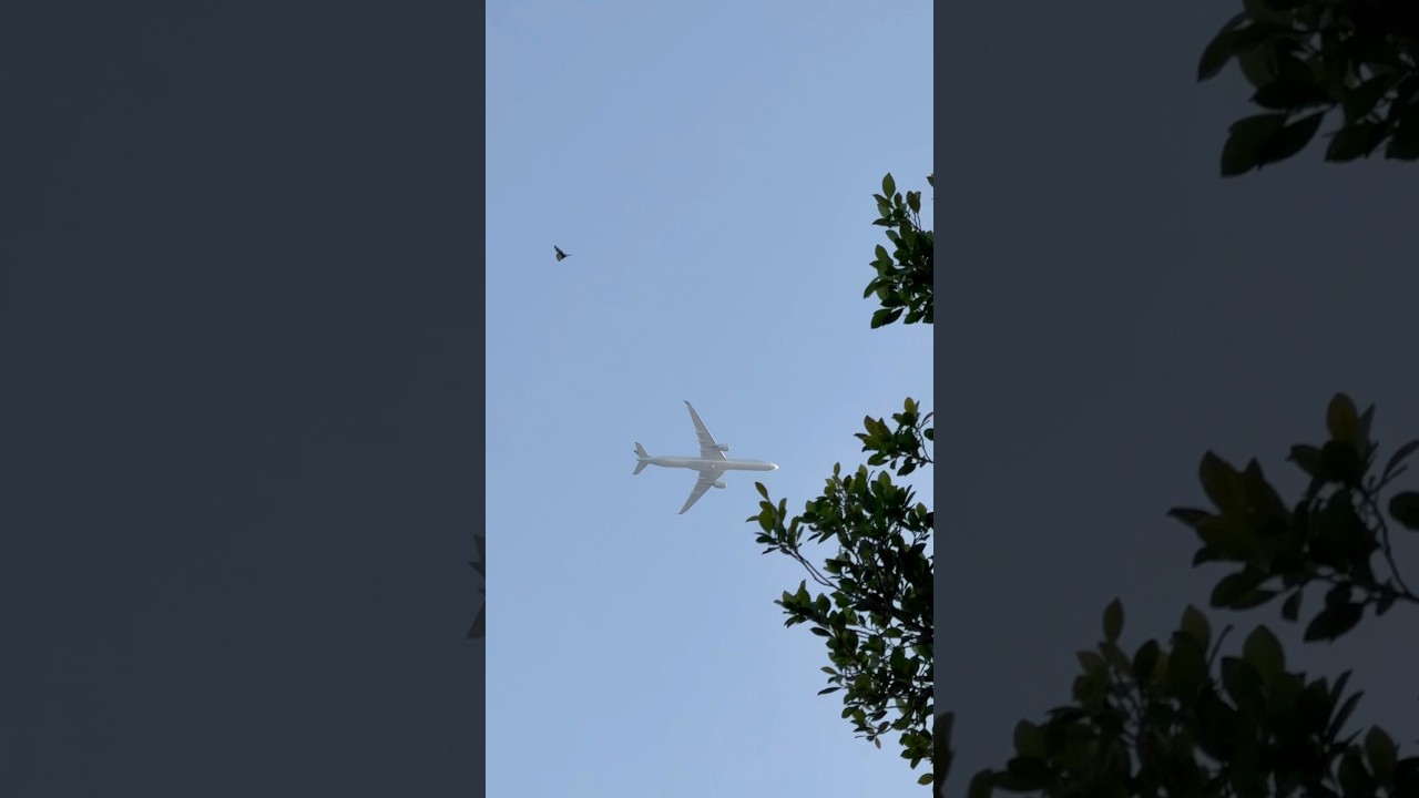 Asmr✈️Traveling by plane #shortsvideo #satisfying #hongkong #travel #airplane #airport #airline #yt