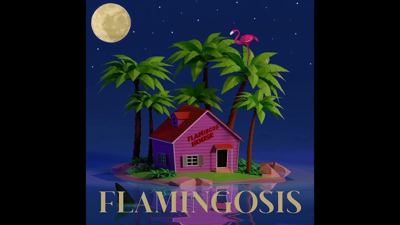 Flamingosis - See You Out There (feat. Tony Lav) (Mood Provider Vol. 5)