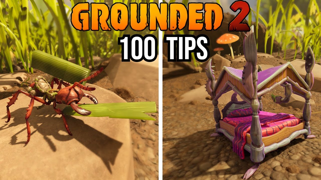 100 Tips and Tricks to Help you Beat Grounded 2!