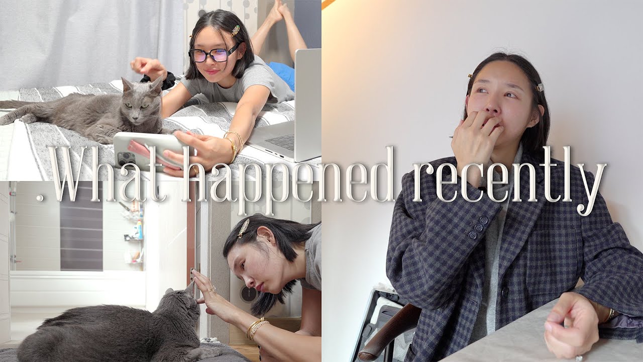 스무살에 만난 나의 첫 고양이가 암이라니.. 미로랑 함께하는 마지막 날 | 악플에 대한 내 진짜 마음