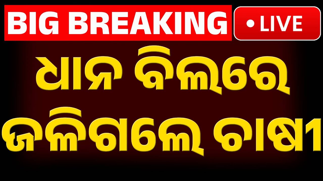 🔴Big Breaking ଧାନ ବିଲରେ ଜୀବନ୍ତ ଜଳିଗଲେ ଚାଷୀ | Farmer Burnt Alive in Paddy Field in Pipili Kanak News